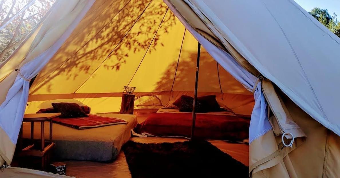Echological Hotel, Restaurante & Spa لاغوس دي مورينو المظهر الخارجي الصورة